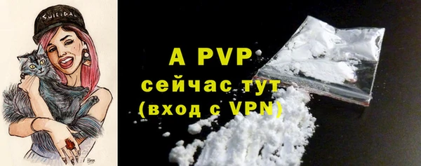ГАЛЛЮЦИНОГЕННЫЕ ГРИБЫ Белокуриха