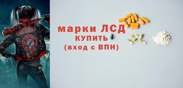 ГАЛЛЮЦИНОГЕННЫЕ ГРИБЫ Белокуриха