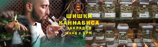 ГАЛЛЮЦИНОГЕННЫЕ ГРИБЫ Белокуриха
