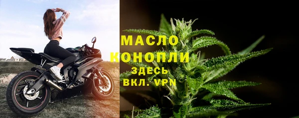 ГАЛЛЮЦИНОГЕННЫЕ ГРИБЫ Белокуриха